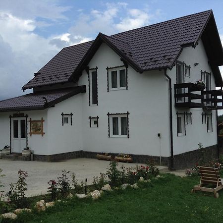 Elder Villa Bran  Zewnętrze zdjęcie