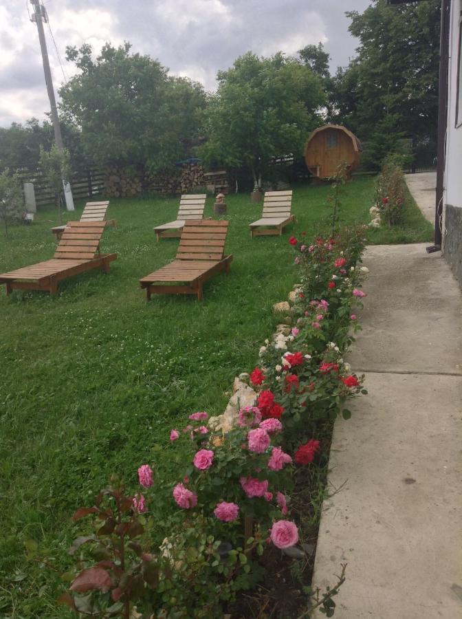 Elder Villa Bran  Zewnętrze zdjęcie