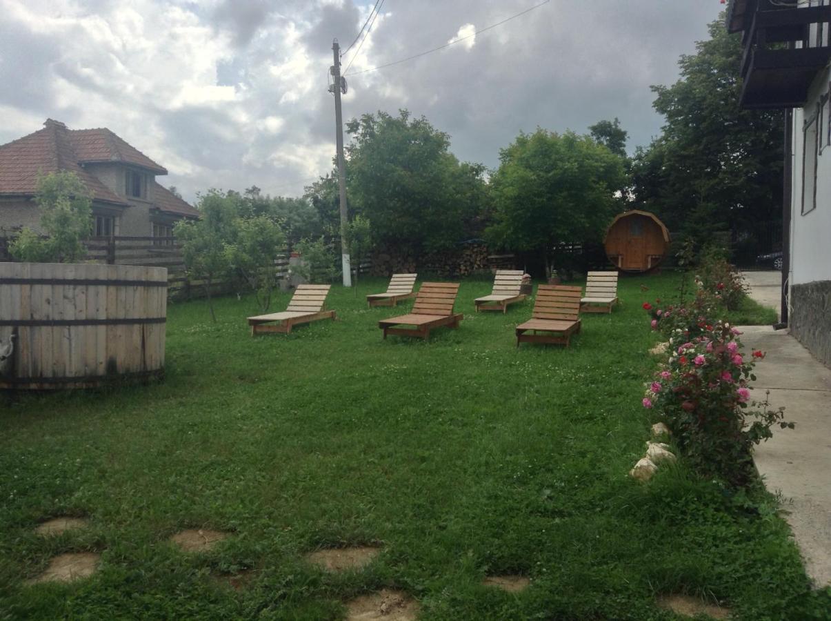 Elder Villa Bran  Zewnętrze zdjęcie