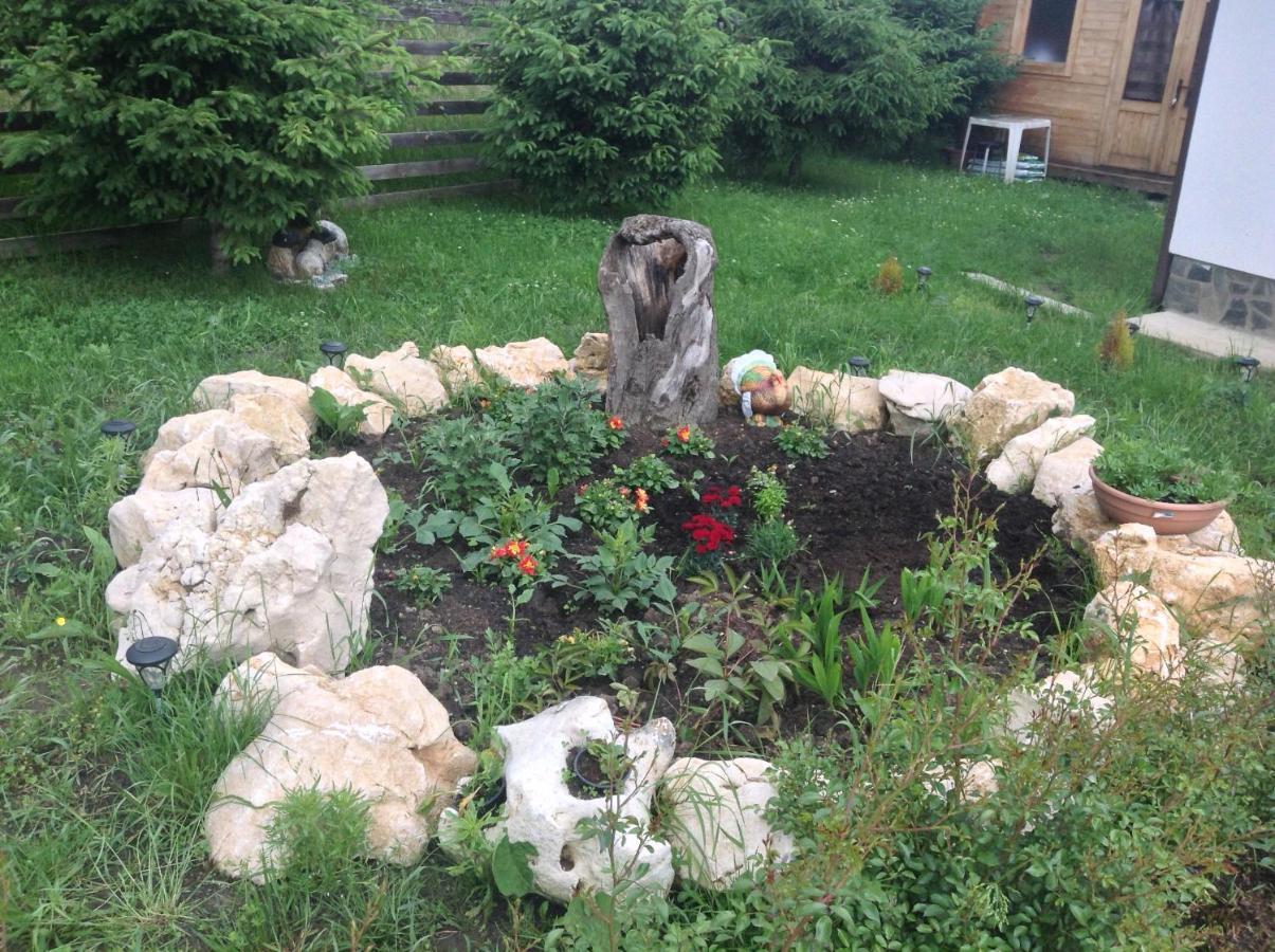 Elder Villa Bran  Zewnętrze zdjęcie