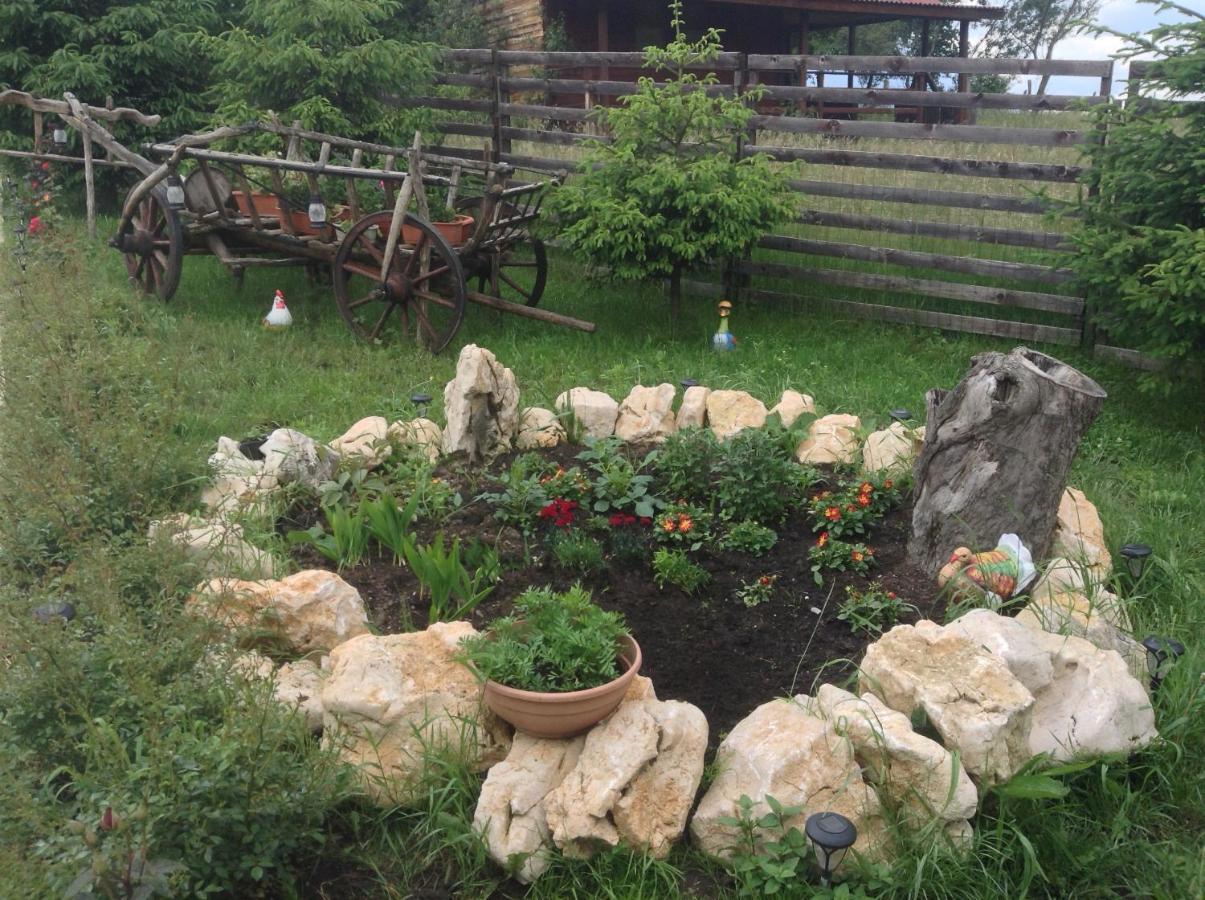 Elder Villa Bran  Zewnętrze zdjęcie