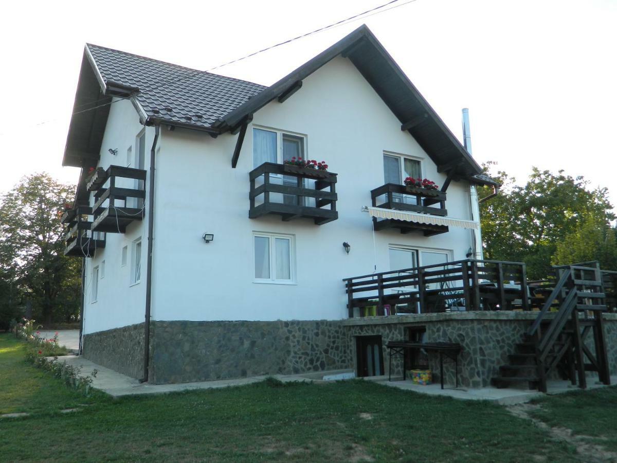 Elder Villa Bran  Zewnętrze zdjęcie