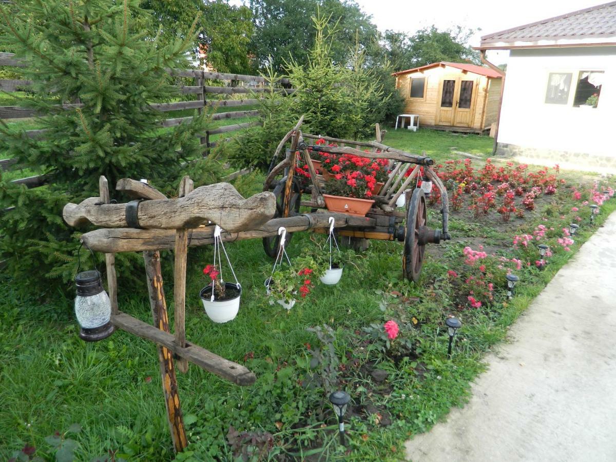 Elder Villa Bran  Zewnętrze zdjęcie