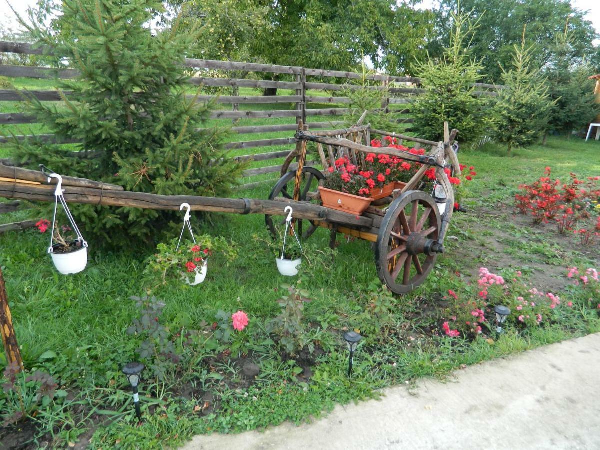 Elder Villa Bran  Zewnętrze zdjęcie